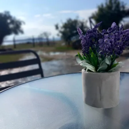 Seaside Athos I Tatil Evi *
